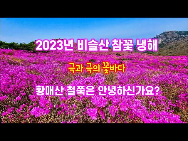 비슬산 참꽃축제 등산코스 맛집_8