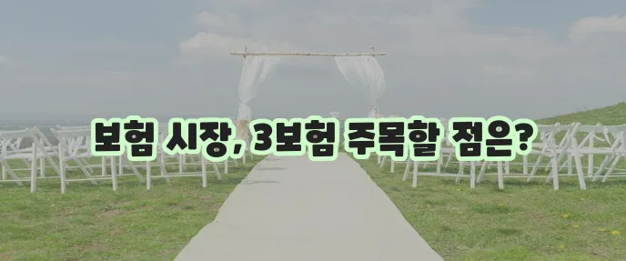 생명보험 손해보험 시장 추이와 제3보험을 자세히 알아봅시다!