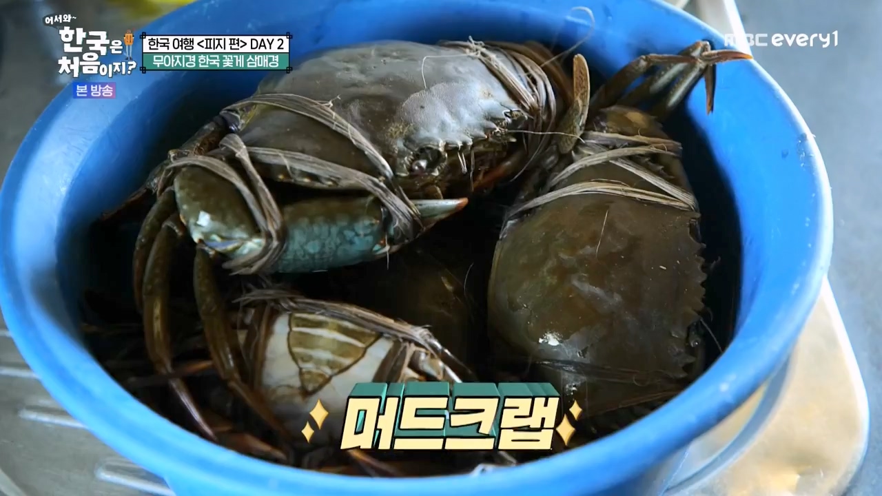 어서와 한국은 처음이지 시즌2.E299.240126p-NEXT.mp4_20240126_202335.942.jpg