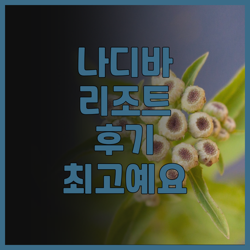 나디바 리조트 후기 쾌적한 객실과 친