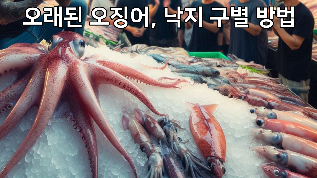 오래된 오징어, 낙지 구별하는 방법 + 신선한 오징어 점액질로 구별하는 이유