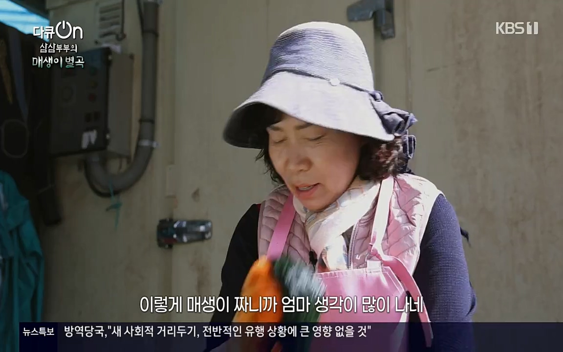 다큐 온.E131p-NEXT.mp4_20220319_174001.121.jpg