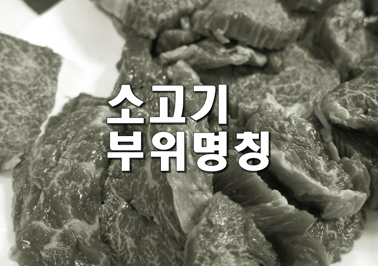 소고기부위명칭