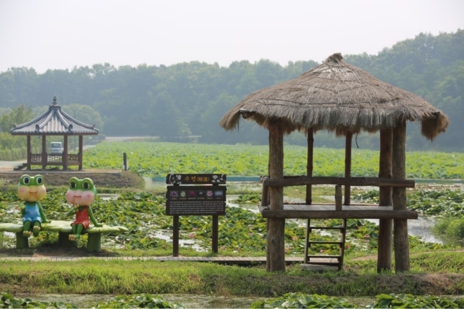 내동마을-연꽃단지