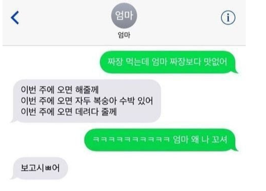  엄마가 딸에게 보내는 문자들ㅜㅜㅜ