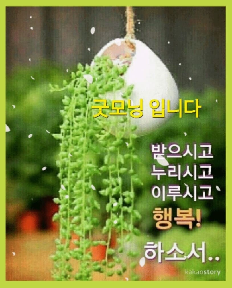 겨울 아침 인사말 카톡 좋은 글귀 문자 이미지 모음