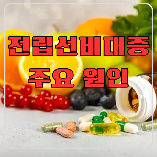 전립선비대증의 주요 원인