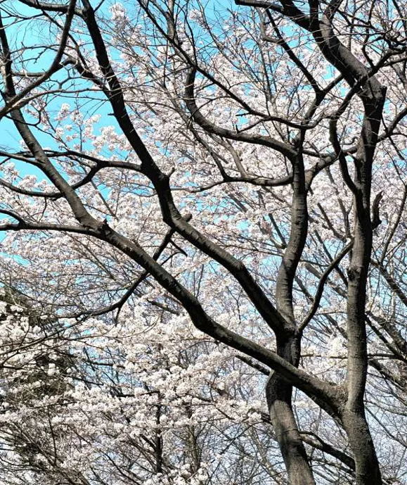 새아침공원