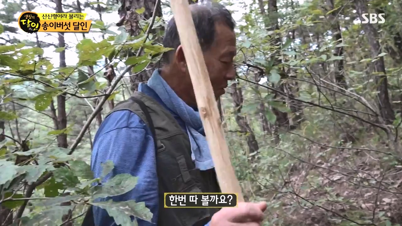 생활의 달인.E907.231010p-NEXT.mp4_20231010_202741.673.jpg