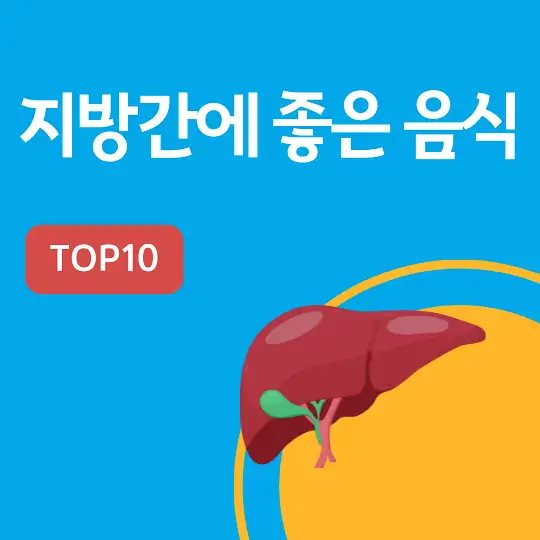 지방간에 좋은 음식 TOP10