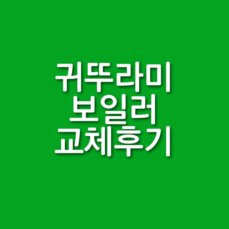  친환경 보일러 교체 후기 (보일러 수명 / 교체비용)