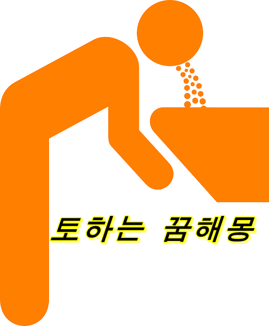  토하는 꿈의 의미는? 장면·인물별 암시 38 꿈해몽