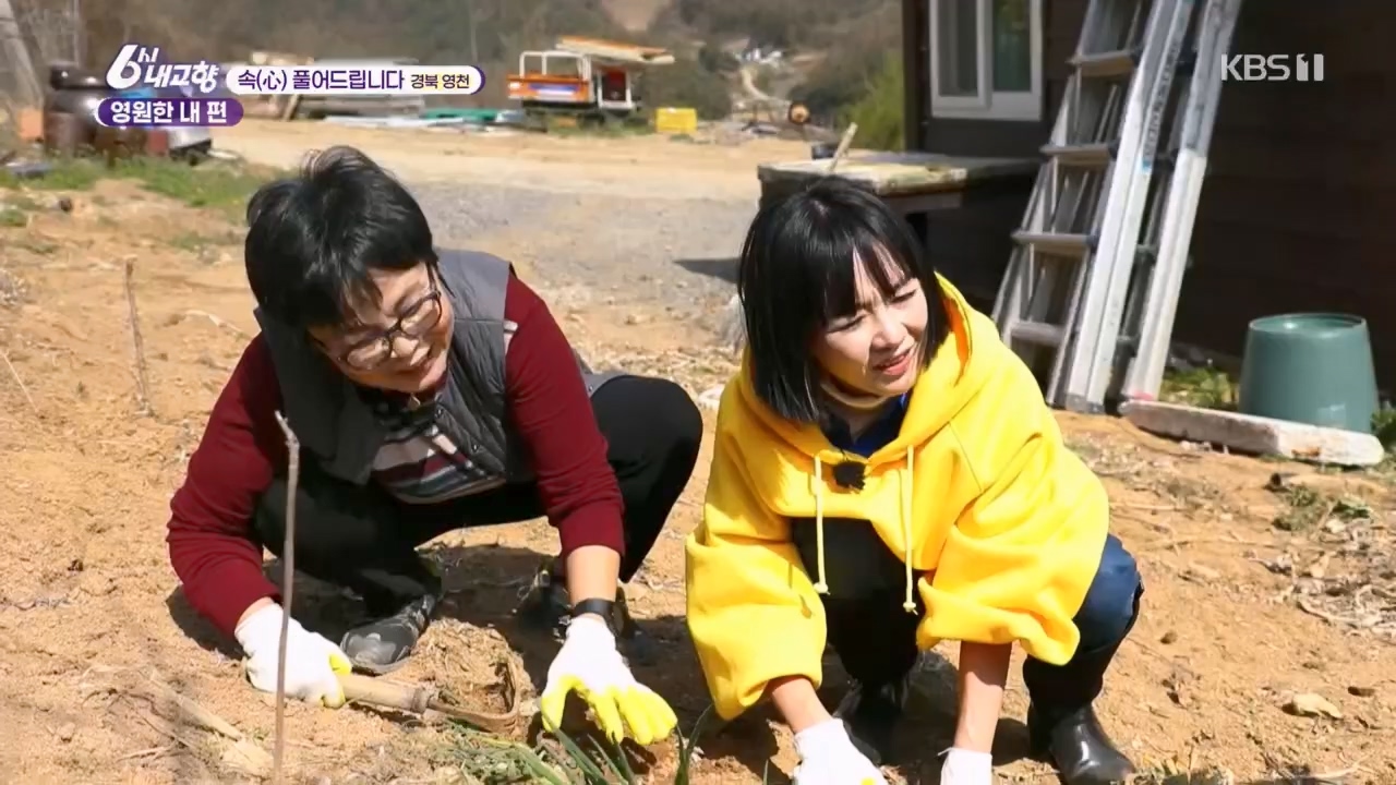 6시 내고향.E7763.230411p.H264-F1RST.mp4_20230411_203314.435.jpg