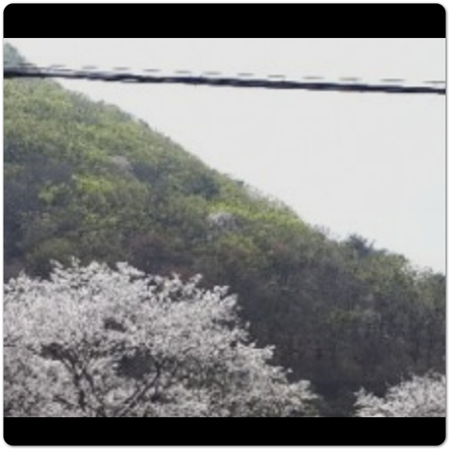 경기도 장흥 가볼만한 곳 베스트 10 23
