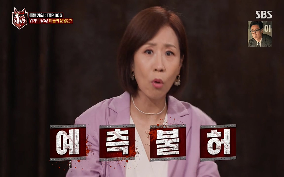 TV 동물농장.E1085.220905p-NEXT.mp4_20220904_173607.368.jpg