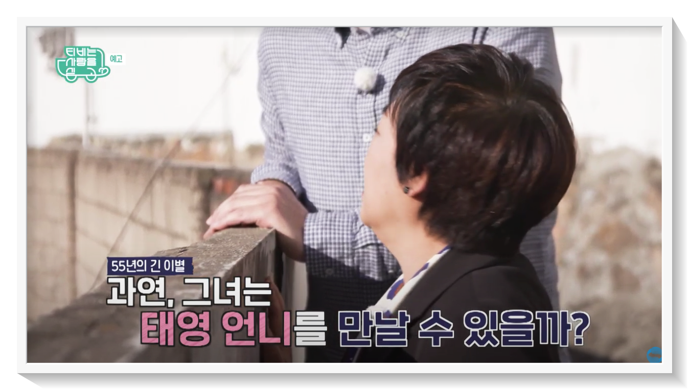 가수 혜은이, 김동현과 황혼 이혼 'TV는 사랑을 싣고' :: 롤러코스터