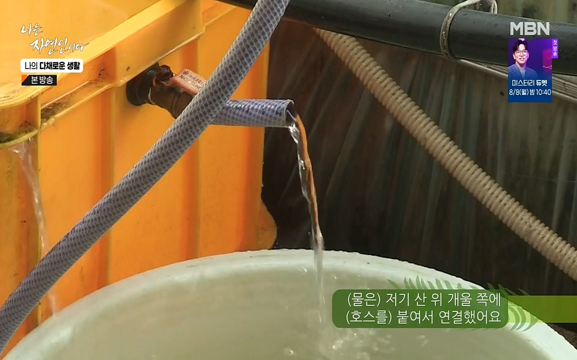 나는 자연인이다.E513.220804p-NEXT.mp4_20220804_201952.742.jpg