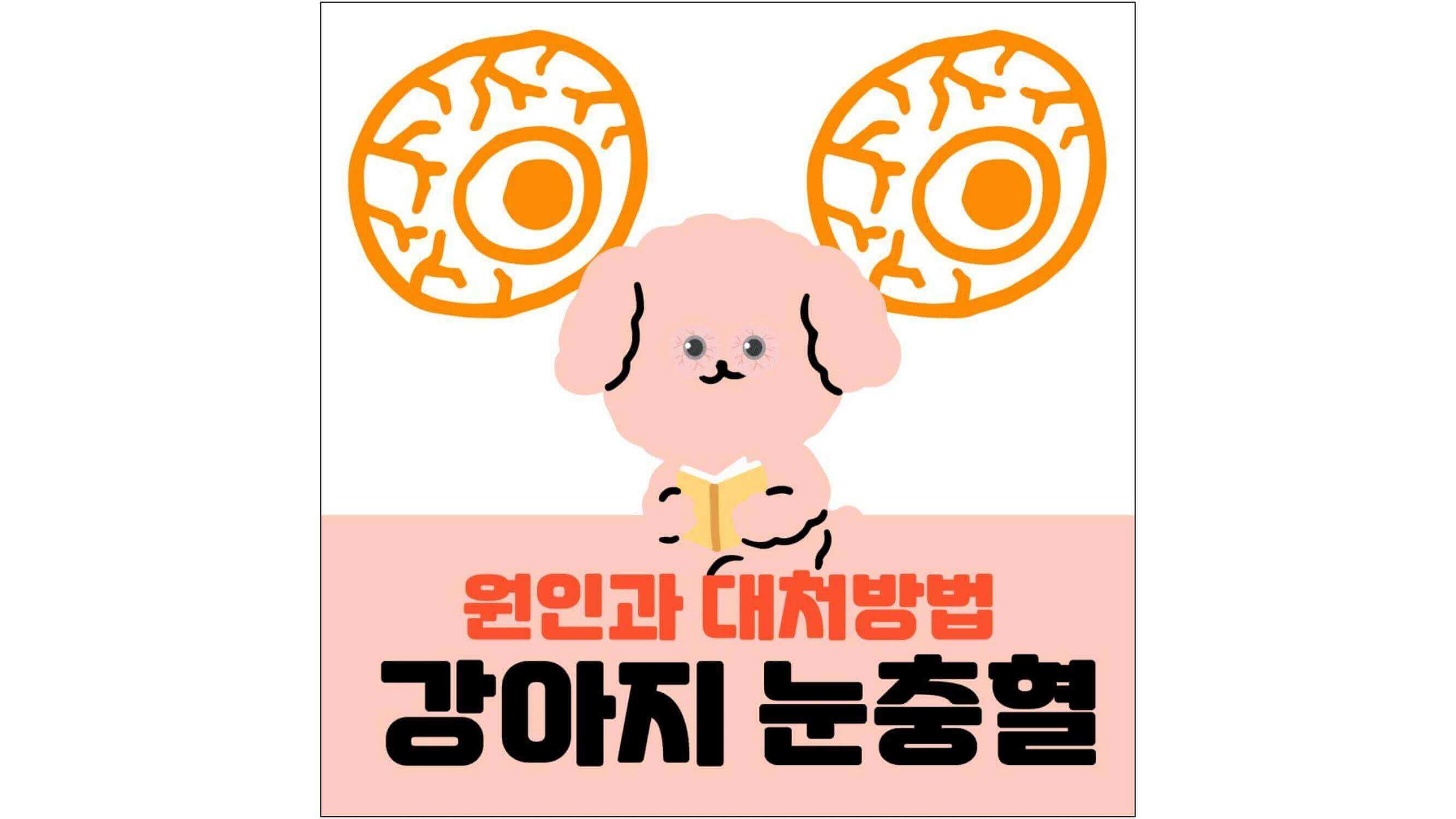 충혈된-눈동자-그림과-원인과-대처방법-강아지-눈충혈-글씨가-적혀-있는-표지
