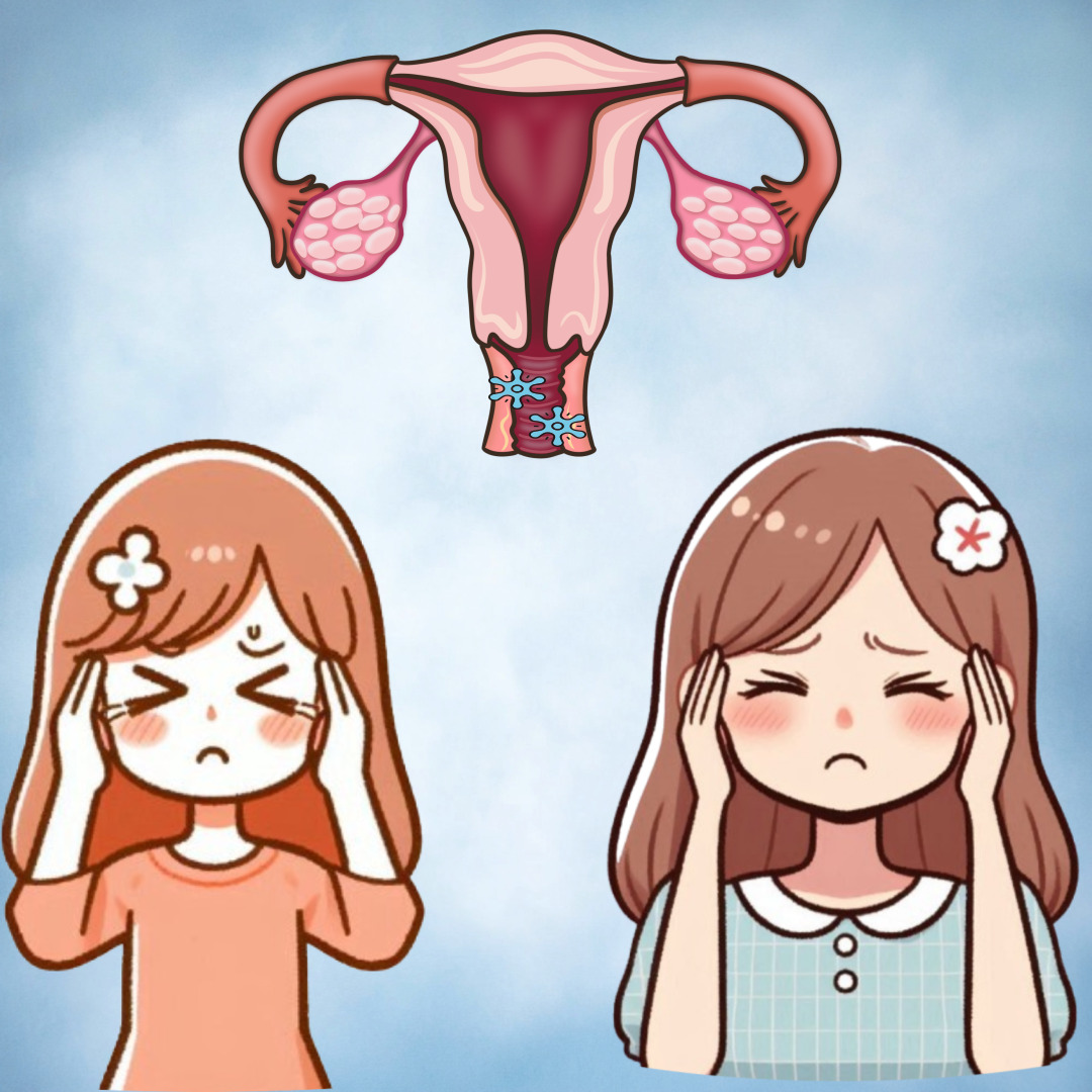 질염 관련 그림