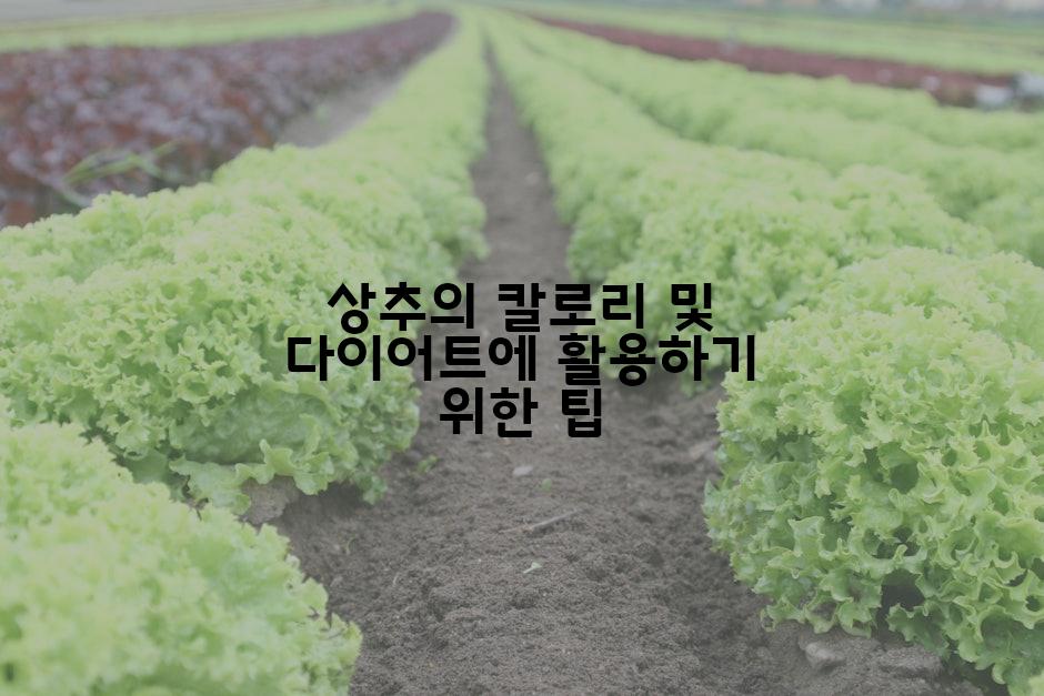 상추의 칼로리 및 다이어트에 활용하기 위한 팁