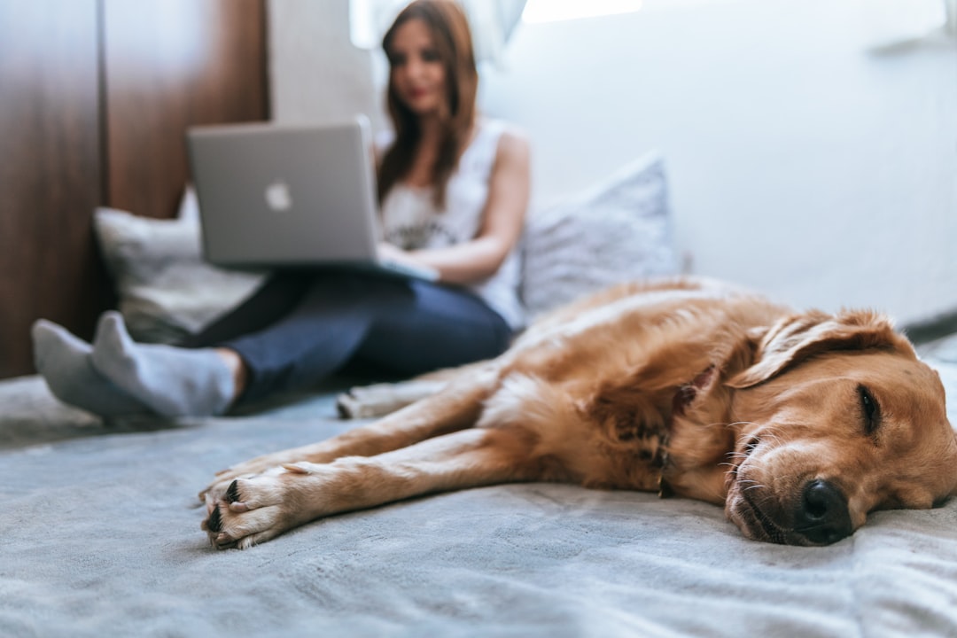 Pet insurance