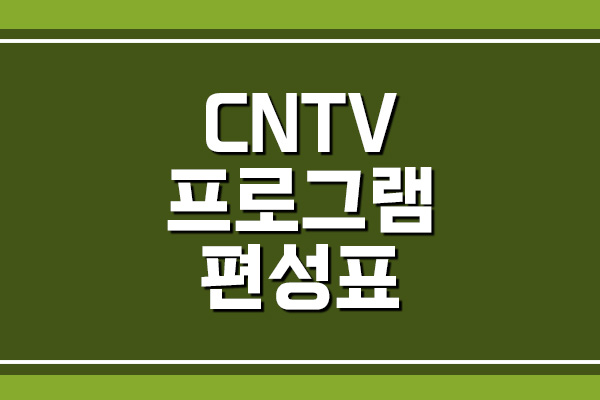 CNTV 프로그램 편성표