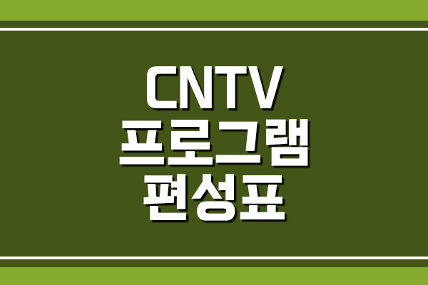  CNTV 프로그램 편성표 보기