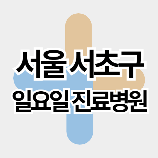 서울서초구_일요일진료병원_썸네일