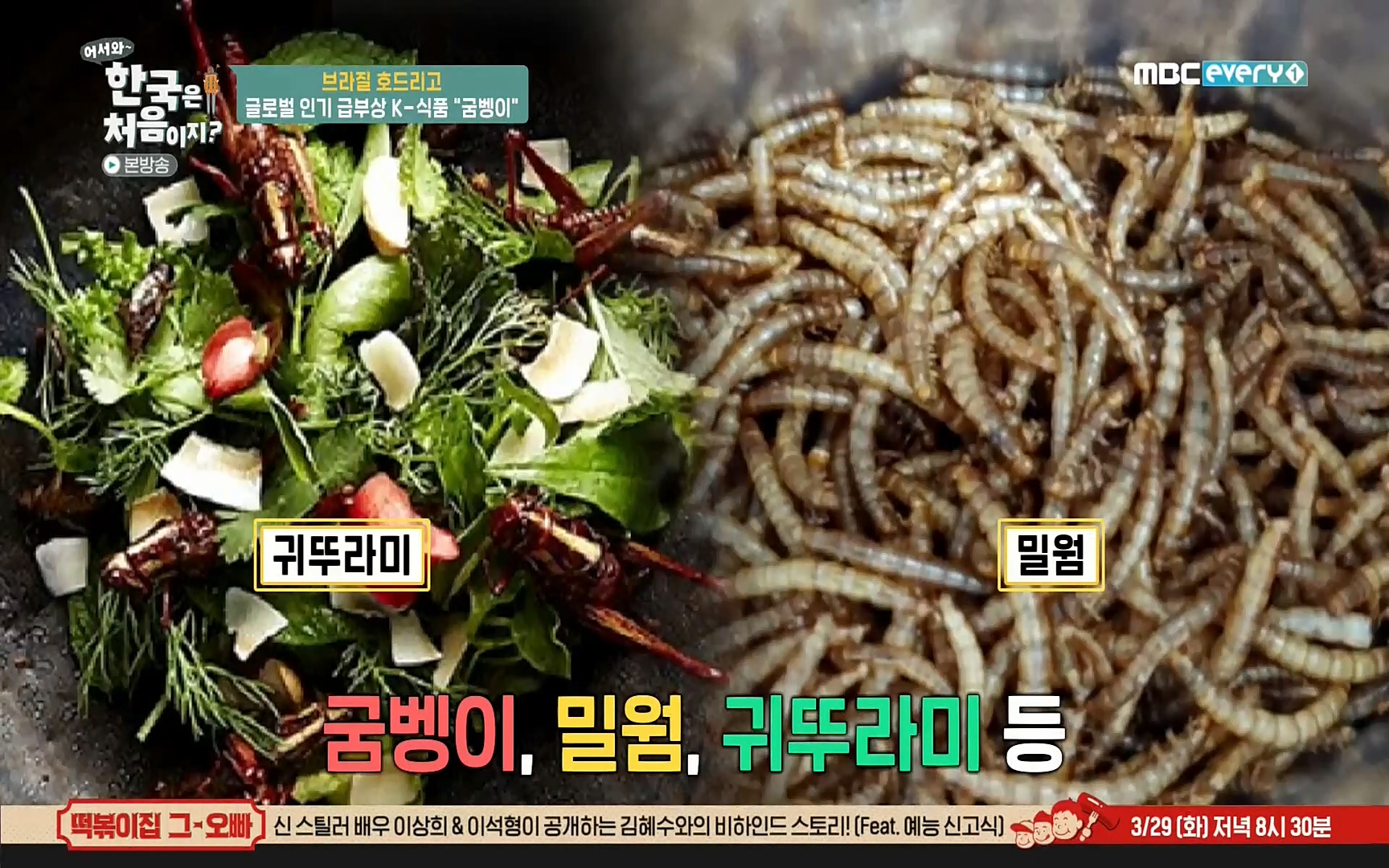 어서와~ 한국은 처음이지(236회) 한국살이94 MBC에브리원_20220324.mp4_20220325_174811.456.jpg