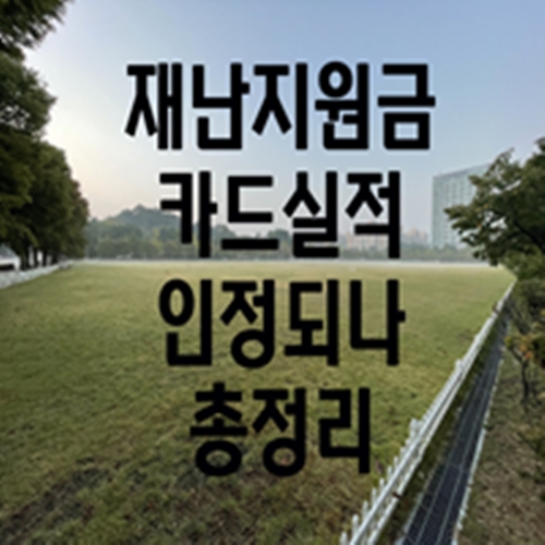  재난지원금 카드실적 인정되나 총정리