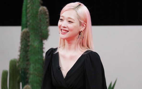  설리 논란 고백 마약루머