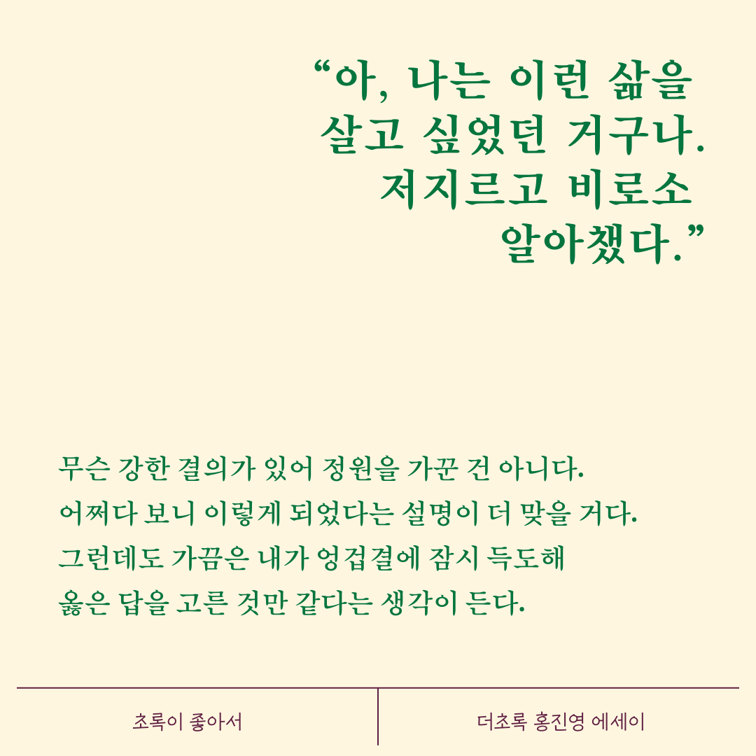 더초록 이미지