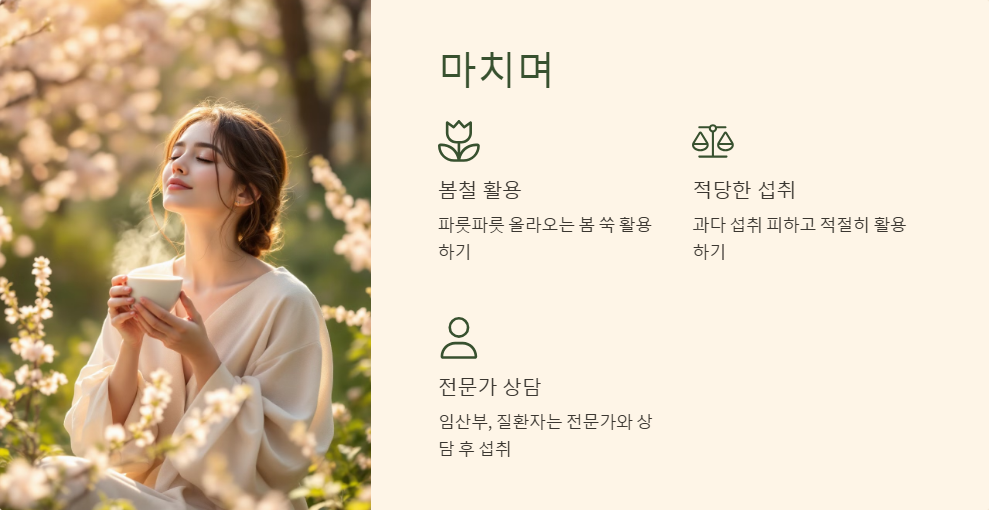 쑥 효능과 부작용