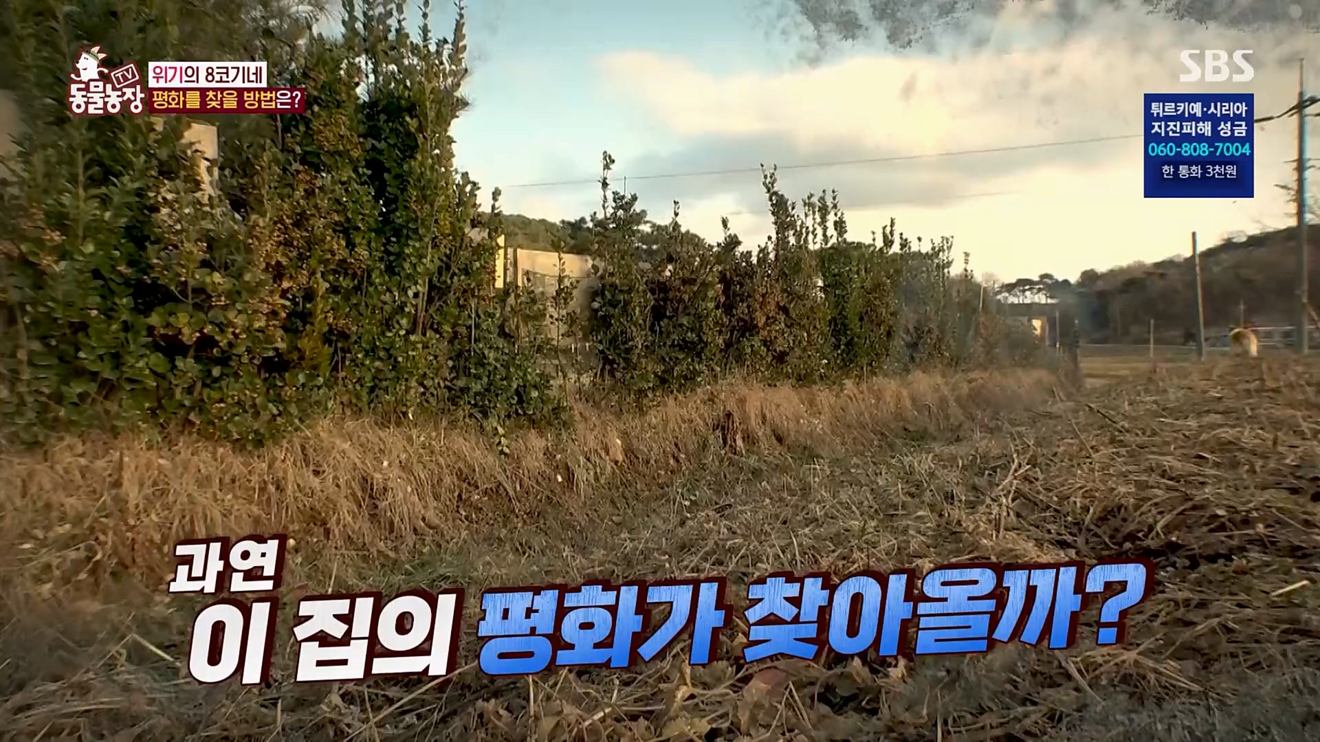TV 동물농장.E1108.230212p.H264-F1RST.mp4_20230212_182142.569.jpg