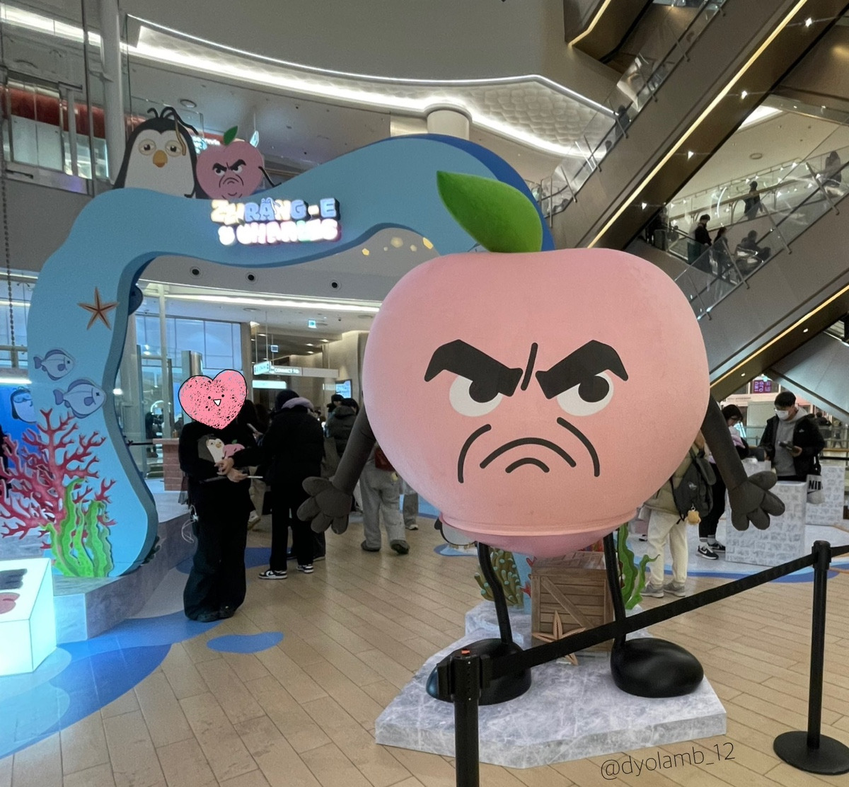 img.jpg
