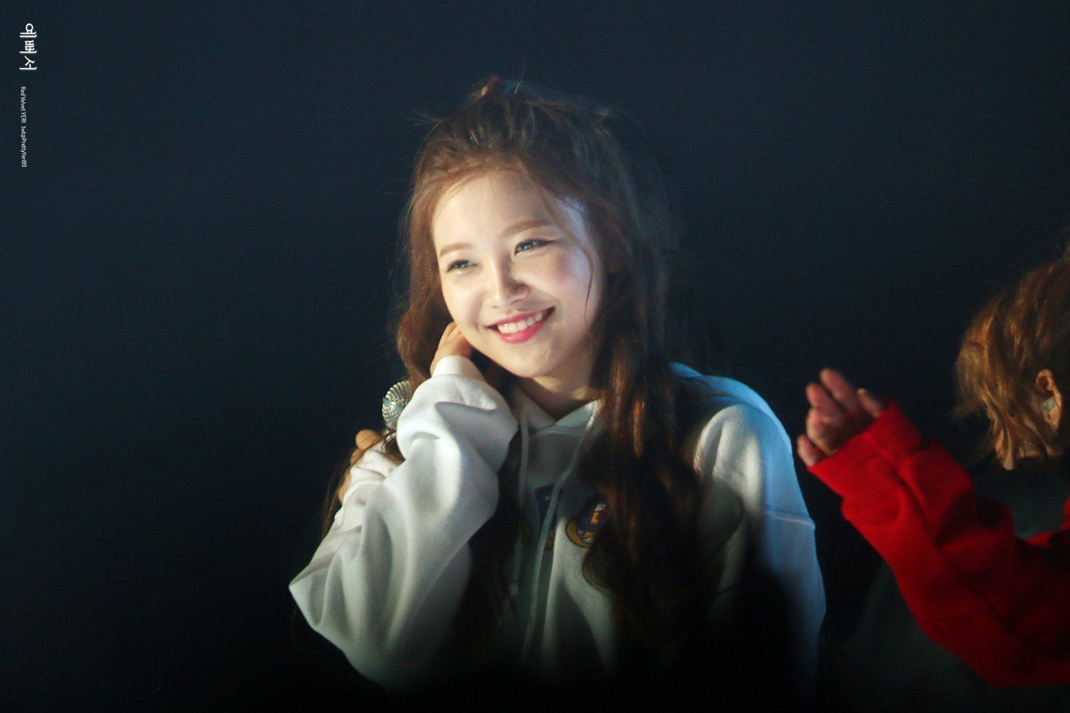 레드벨벳 예리(Red Velvet Yeri) 사진 모음