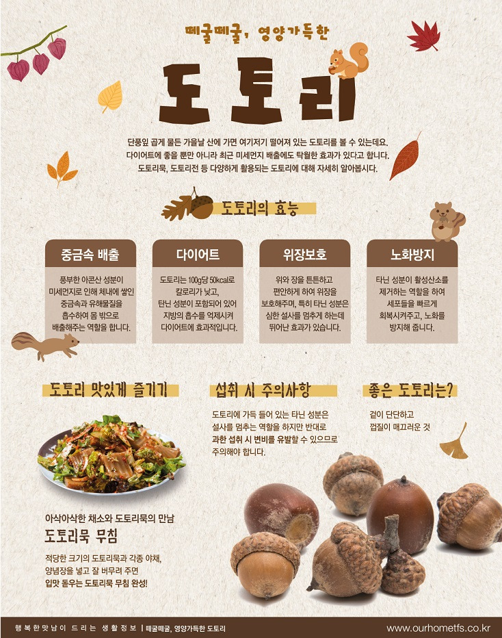 도토리의 효능
