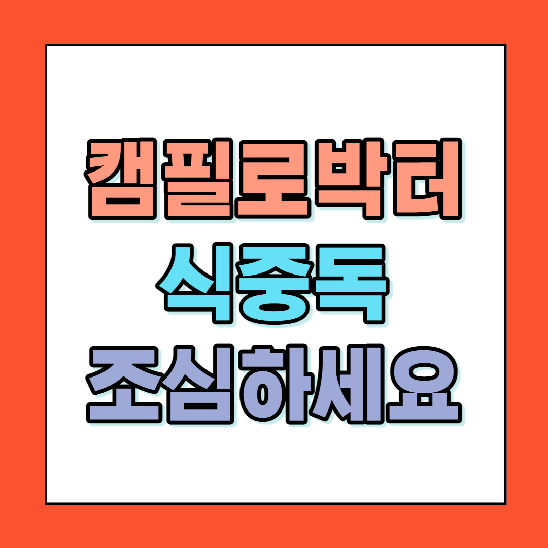 캠필로박터 식중독 조심하세요