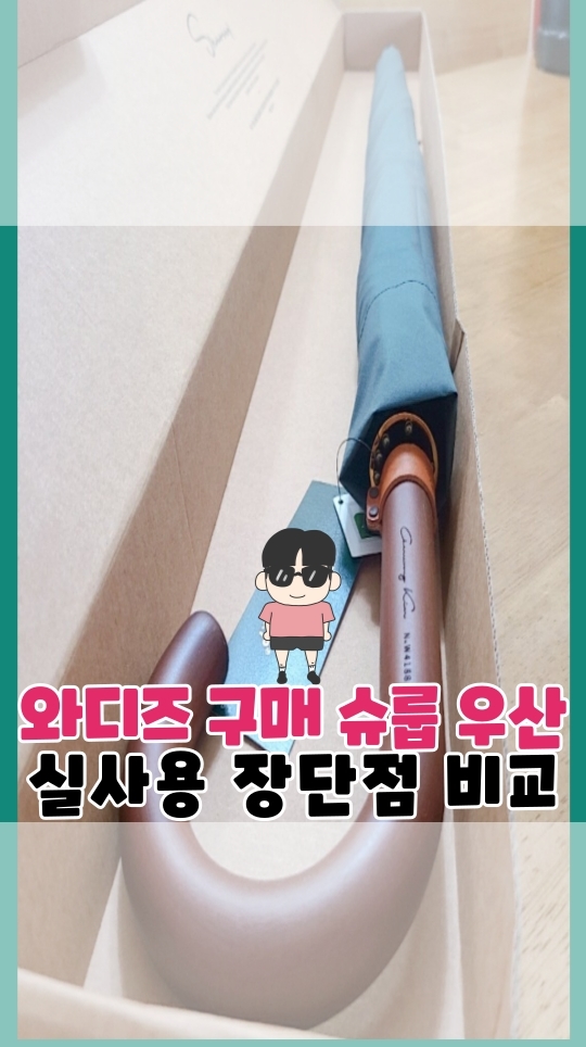  와디즈 구매 슈룹 우산 실사용 후기 장단점 비교해봤어요.
