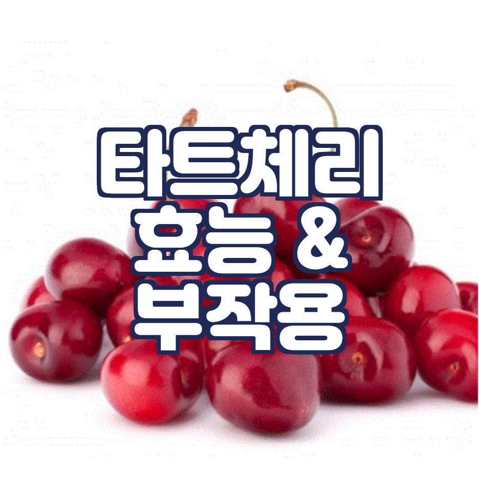  타트체리 효능과 부작용은 어떤게 있을까?