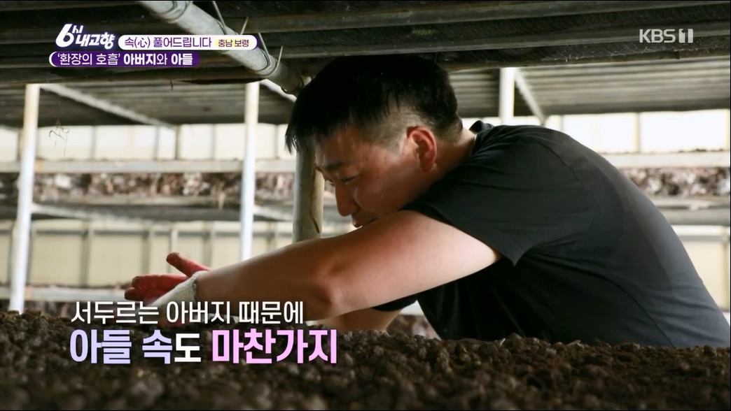 6시 내고향.E7806.230613p.H264-F1RST.mp4_20230614_205843.144.jpg