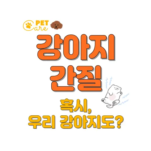 강아지 간질 썸네일