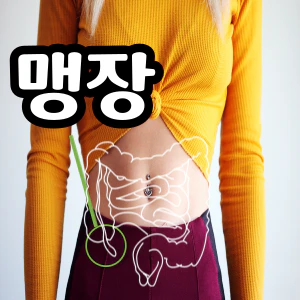 맹장 위치 설명