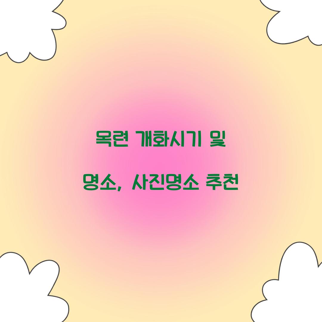 목련 개화시기