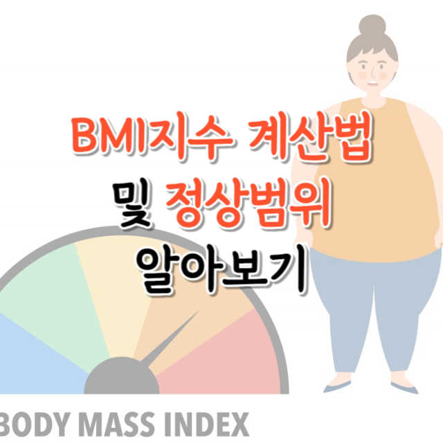 BMI-지수-계산법