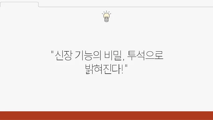 인공신장실 신장의 기능과 투석 방법의 선택