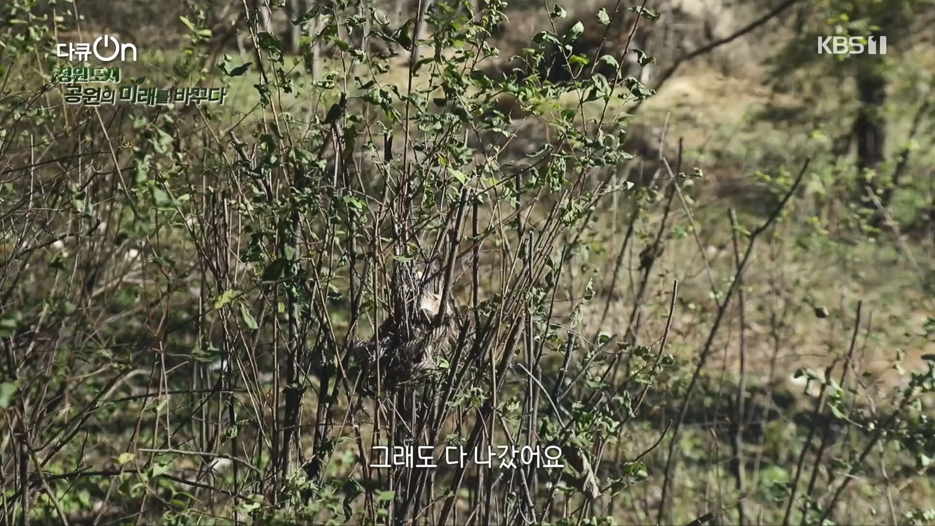 다큐 On.E230.231209p.H264-F1RST.mp4_20231211_200305.356.jpg