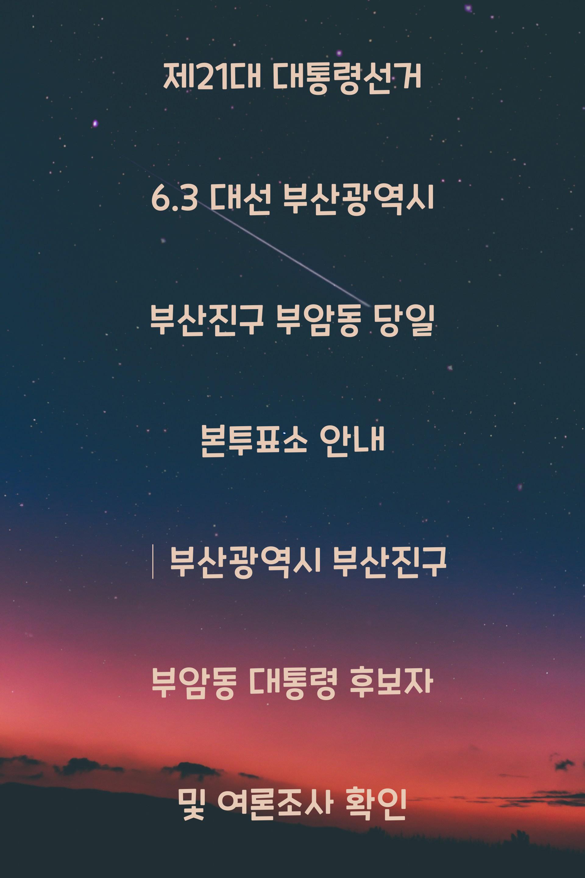 제21대 대통령선거 6.3 대선 부산광역시 부산진구 부암동 당일 본투표소 안내 │부산광역시 부산진구 부암동 대통령 후보자 및 여론조사 확인