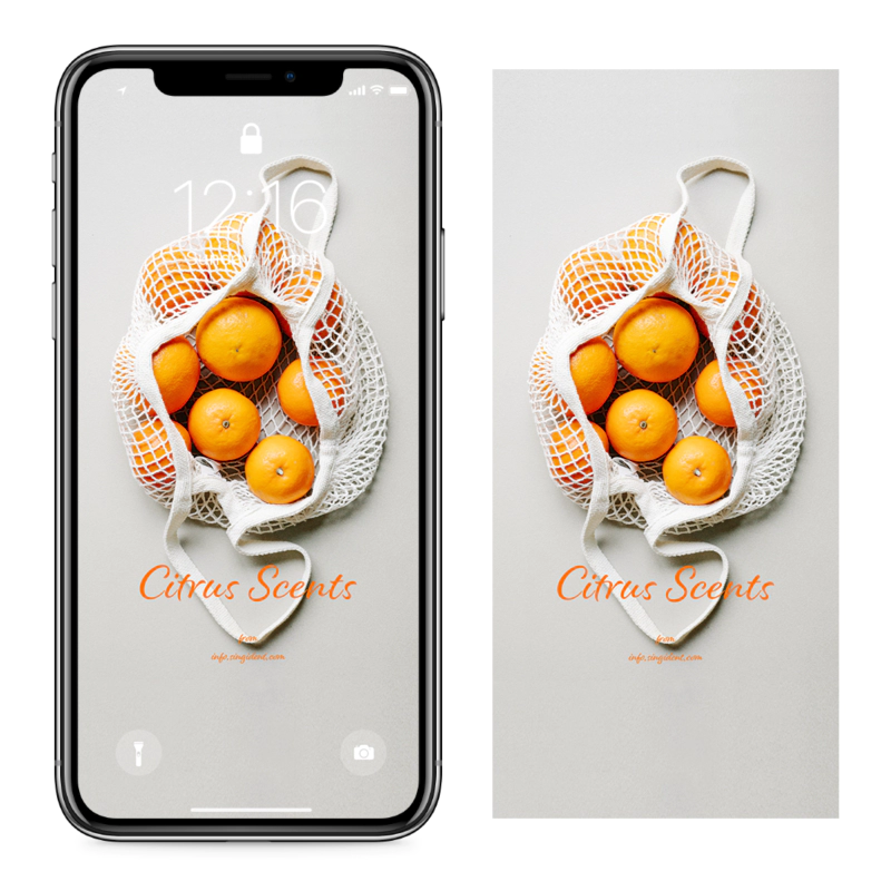 05 장바구니 속 오렌지 C - Citrus Scents 아이폰주황색배경화면