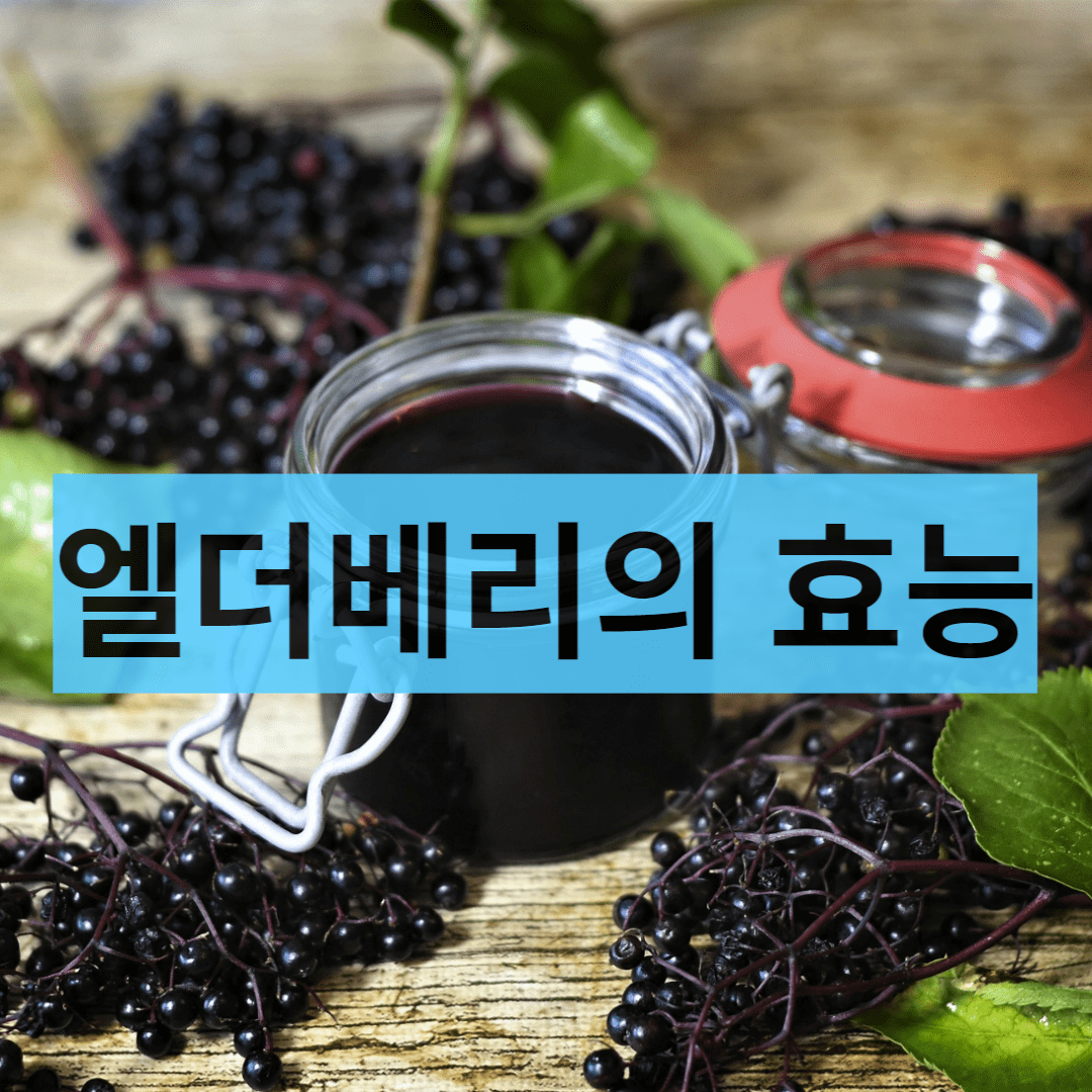  여드름 치료에 좋은 엘더베리